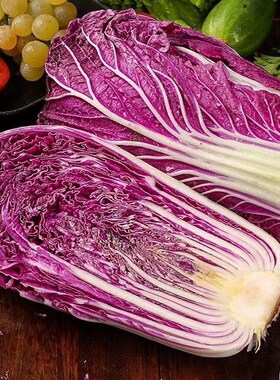 紫白菜种子紫罗兰白菜里外紫色大白菜夏季可种植家庭小院阳台种植