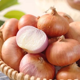 东北毛葱农家毛葱批发蔬菜洋葱农家种植新鲜笨毛葱红葱头生吃葱头