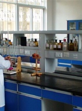 孟氏液 500毫升  孟氏铁混合液   检查涂抹抗凝  孟氏溶液