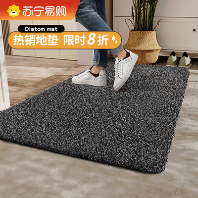 入户门地垫大门口除尘蹭土耐脏进门垫门外踩脚垫防滑室外地毯2461