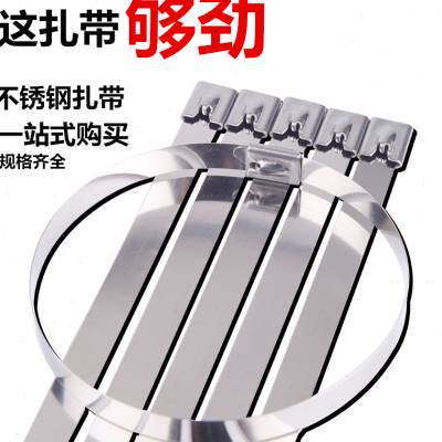 不锈钢扎带固定器 201材质46200mm钢带拉紧器扎丝卡扣抱箍金属
