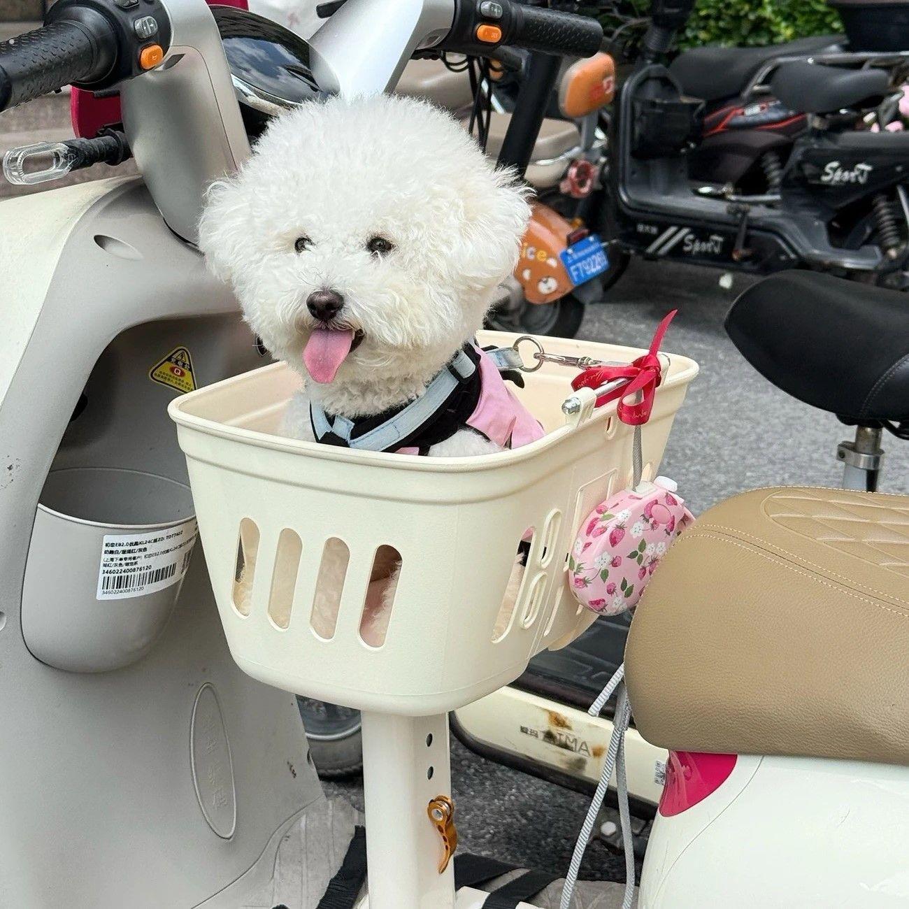 电动车宠物座椅前置筐狗狗猫咪坐椅电动自行车电动车机车外出遛狗