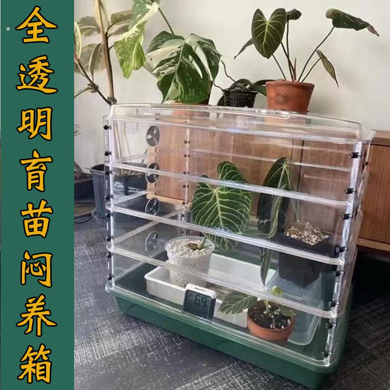 育苗闷养箱培育传播箱体带全透明加高层5939大托盘温室发芽催根盒