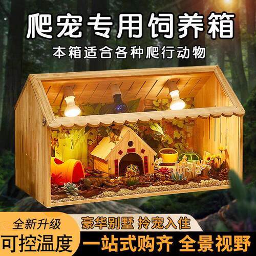 爬宠饲养箱鬃狮蜥守宫刺猬角蛙蜥蜴爬虫箱养殖保温爬箱造景宠物箱