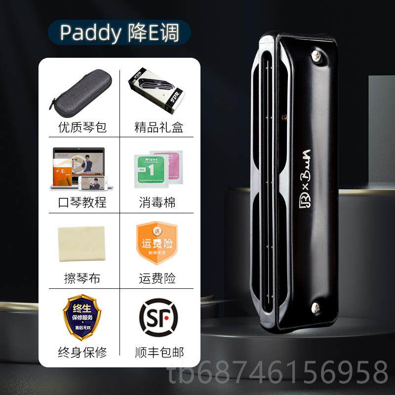 新款JD瑞R嘉德ssassin刺布客鲁斯蓝调A十孔口琴10孔C调专业演奏pa