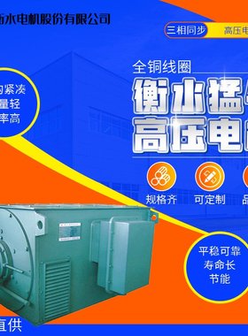 衡水猛牛电机马达Y/YX/YKK/YXKK/YKS/YR/YRKK/YRKS高压电动机三相