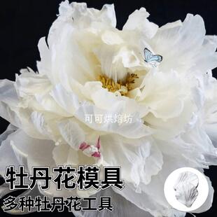 糖纸花牡丹模具玫瑰花脉络模具翻糖蛋糕面塑黏土切模芍药模具