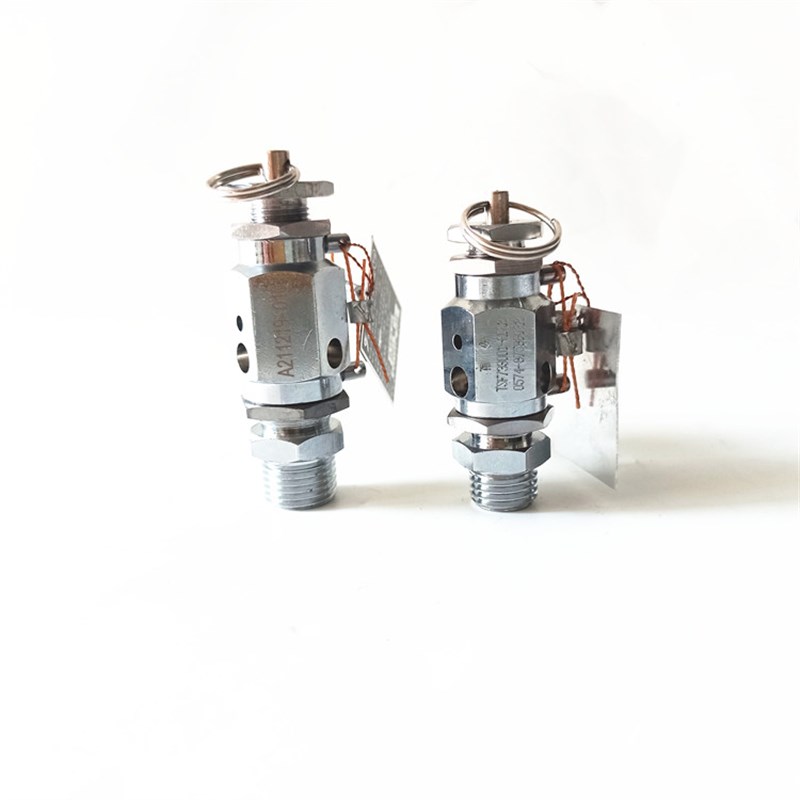 宁波甬安YA28X6T/8 10 15灭菌器全启式安全阀消毒锅配件0.24/0.28