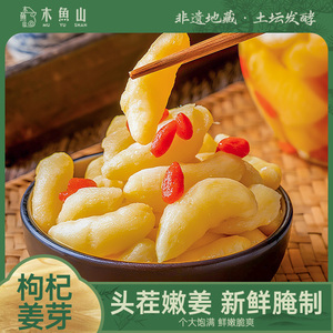 木鱼山枸杞泡姜芽新鲜嫩姜芽山东淄博特产枸杞嫩姜腌制酸甜开胃