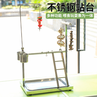 鹦鹉桌面站架鸟不锈钢站台中小型落地站杆鹦鹉玩具定点排便站架子