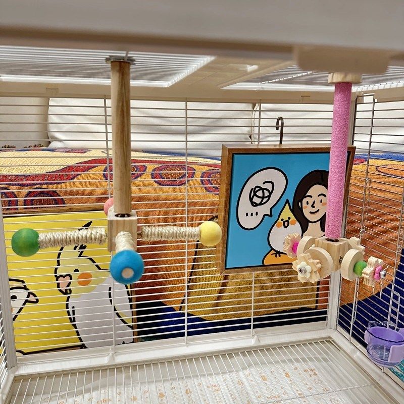 鹦鹉实木站杆鸟窝木质家具健身爬梯房子牡丹玄风挂件鸟窝秋千玩具,宠物/宠物食品及用品,鸟玩具,淘宝优惠券,粉丝福利购,淘宝优惠卷