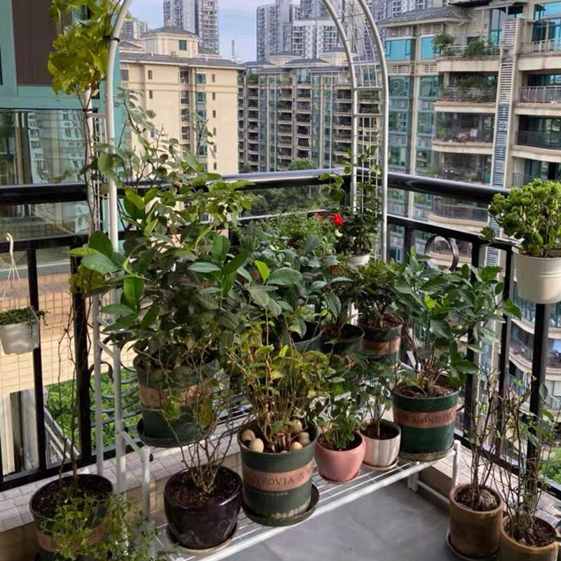 庭院铁艺拱门爬藤月季铁制简约花架户外攀爬架室外花支架支撑