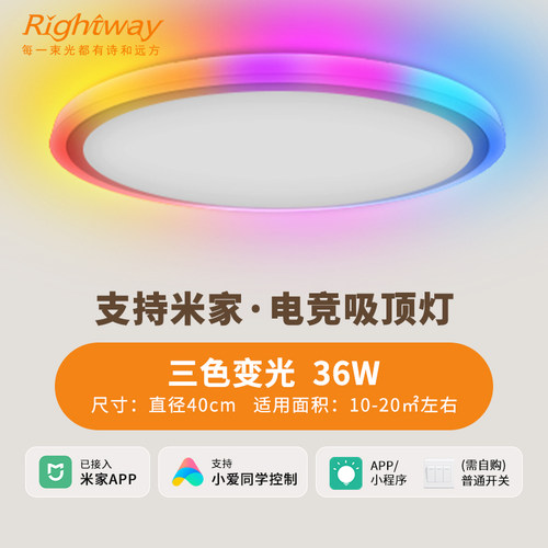 睿特唯rgb氛围炫彩电竞房吸顶灯