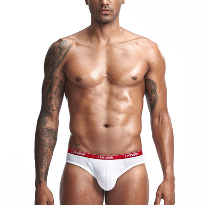 三角内裤男纯棉低腰U凸性感紧身小内裤衩子青年时尚简白色裤头潮