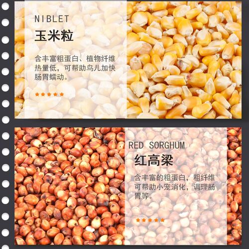 鸽粮鸟食鸽子饲料玉米粒豌豆营养饲料鸟食信鸽赛鸽种鸽10斤装包邮