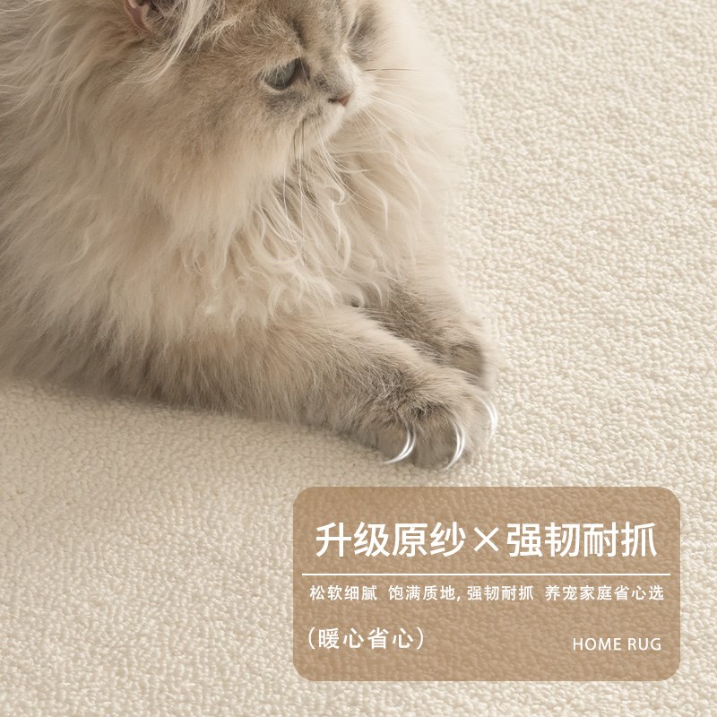 地毯客厅卧室2024年新款硅藻丝防水抗污免打理地垫轻奢高级感家用