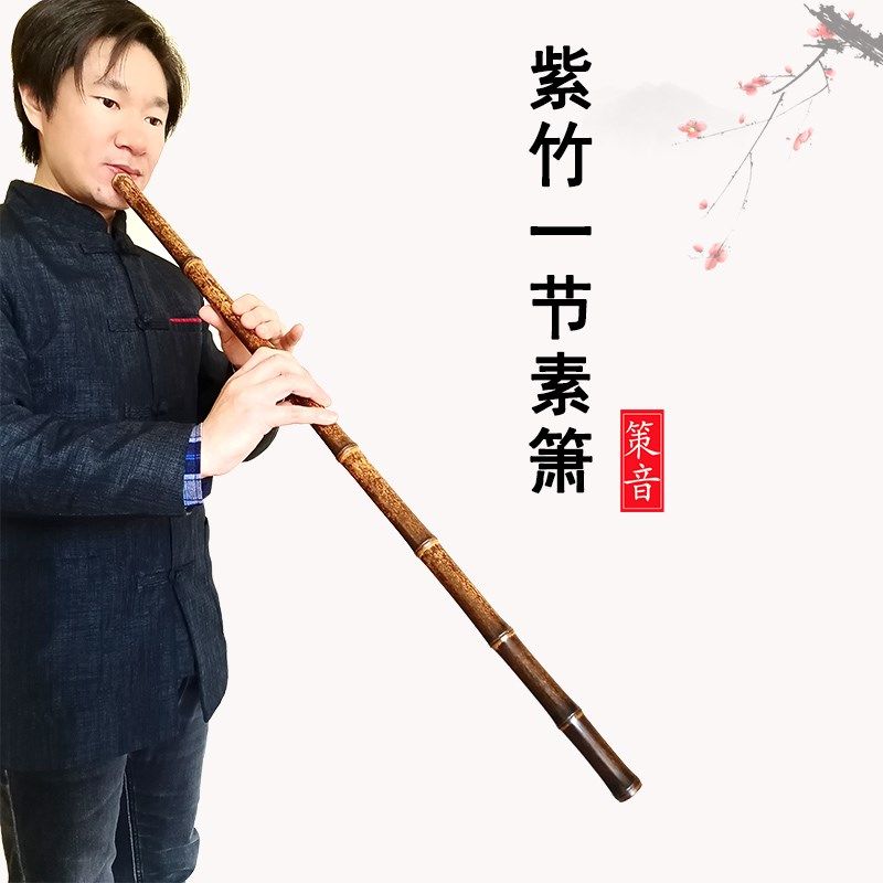 八孔洞箫国风乐器入门古风紫竹仿古初学演奏型古典三节单节素白铜