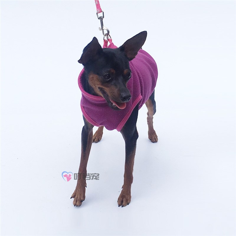 小鹿犬专用衣服狗狗冬天加绒马甲背心秋冬季保暖迷你小体一斤小狗