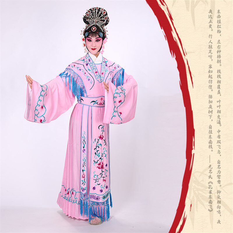 京剧戏曲古装演出服装花旦水袖七仙女小姐女舞蹈戏服 普机大古装