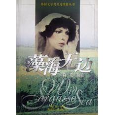 【正版书包邮】藻海无边简爱前篇外国文学名著及续篇丛书简里斯上海译文出版社