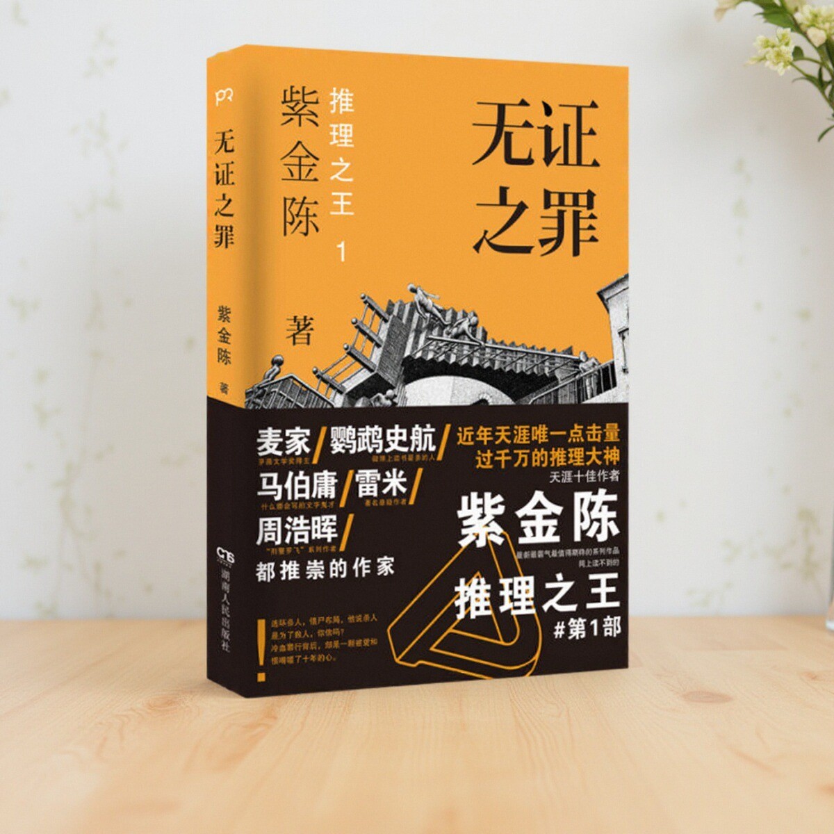 无证之罪推理之王1紫金陈著