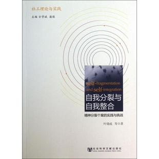正版 实践与挑战叶锦成社会科学文献出版 书 社工理论与实践自我分裂与自我整合精神分裂个案 社 包邮