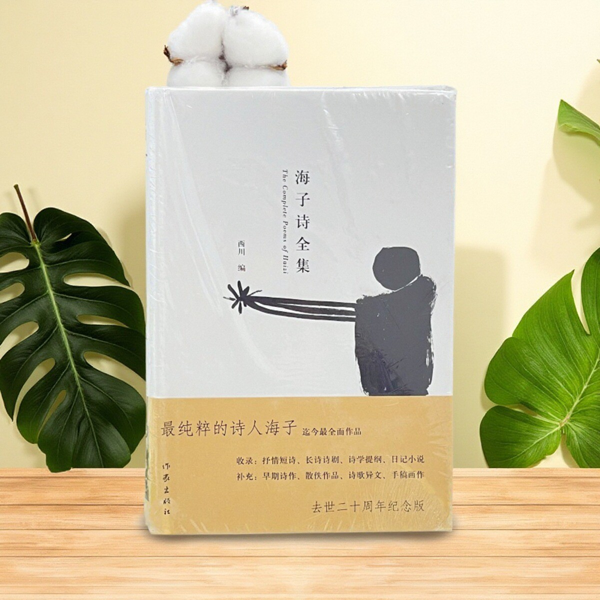 海子诗全集海子著书籍