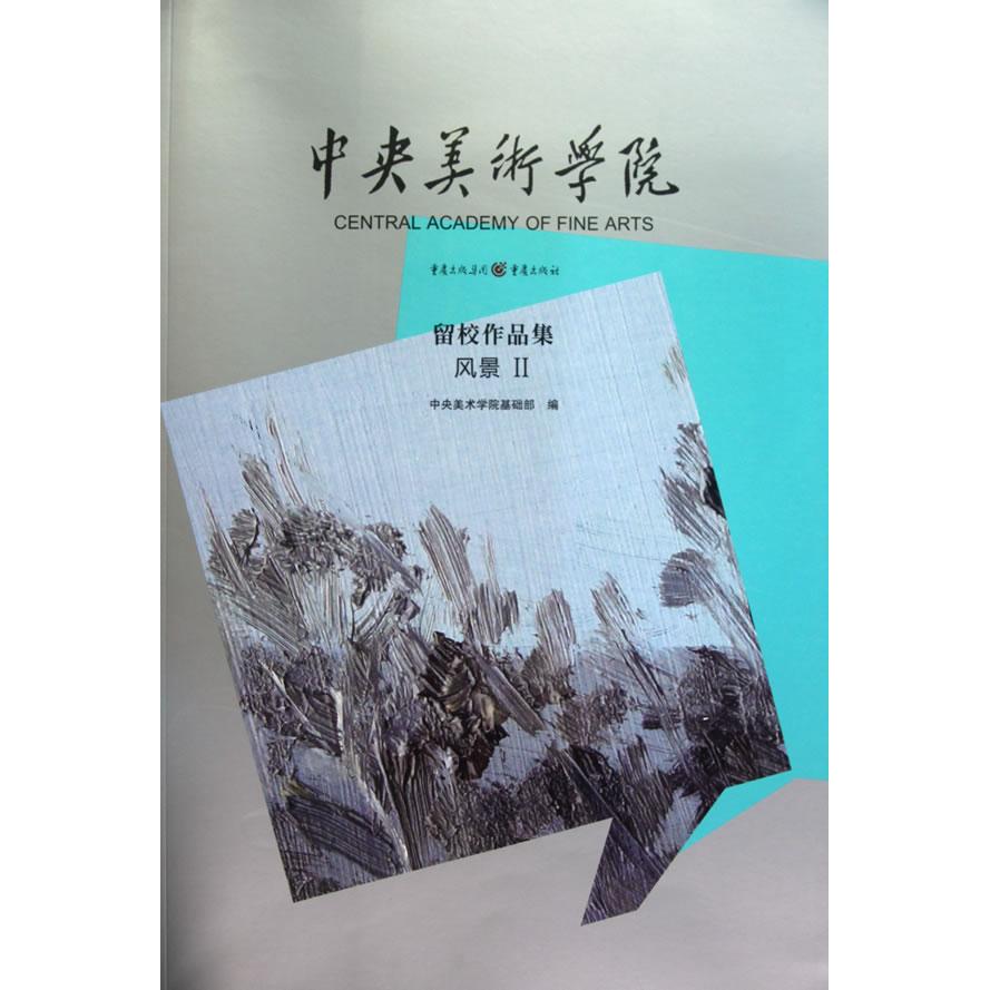 【正版书包邮】中央美术学院留校作品集风景2中央美术学院基础部重庆出版社
