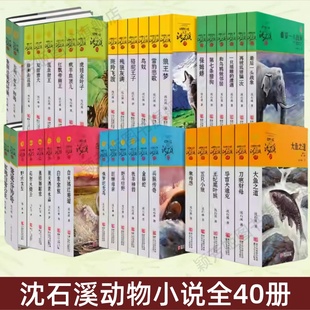 斑羚飞渡 骆驼王子 大鱼之道 沈石溪动物小说全40册 军旅系列军鸽白雪公主鹭鸶谷传奇 黑熊舞蹈家 狼王梦 残狼灰满 雪豹悲歌