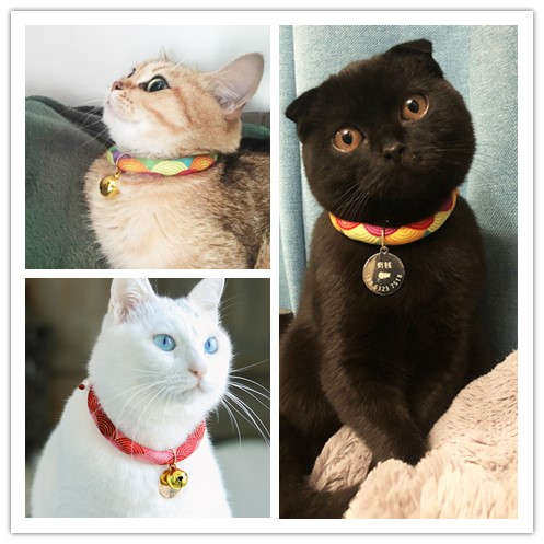 六只猫刻字猫牌狗牌宠物可爱铃铛和风项圈防丢猫咪幼犬狗狗驱虫