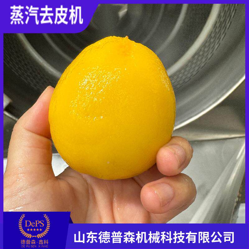 皮山东全自动果蔬工GWC成套加去设备 多功能商用桃子剥皮梨机