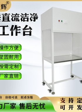 垂直流洁净工作台百级无尘车间设备净化车间实验室洁净工作台定制