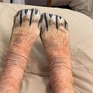 仿真狗腿袜子立体动物爪子中筒袜个性搞怪长筒袜创意成人猫狗脚爪