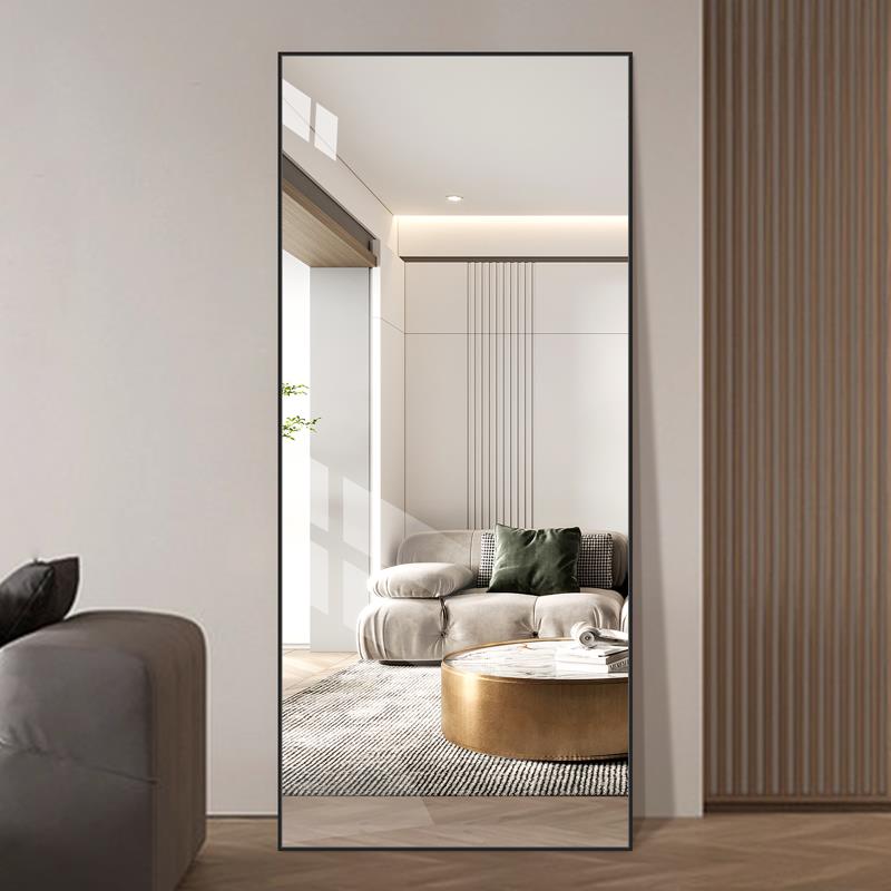 轻奢铝合金全身镜家用贴墙壁挂穿衣镜服装店试衣镜防爆镜大镜子