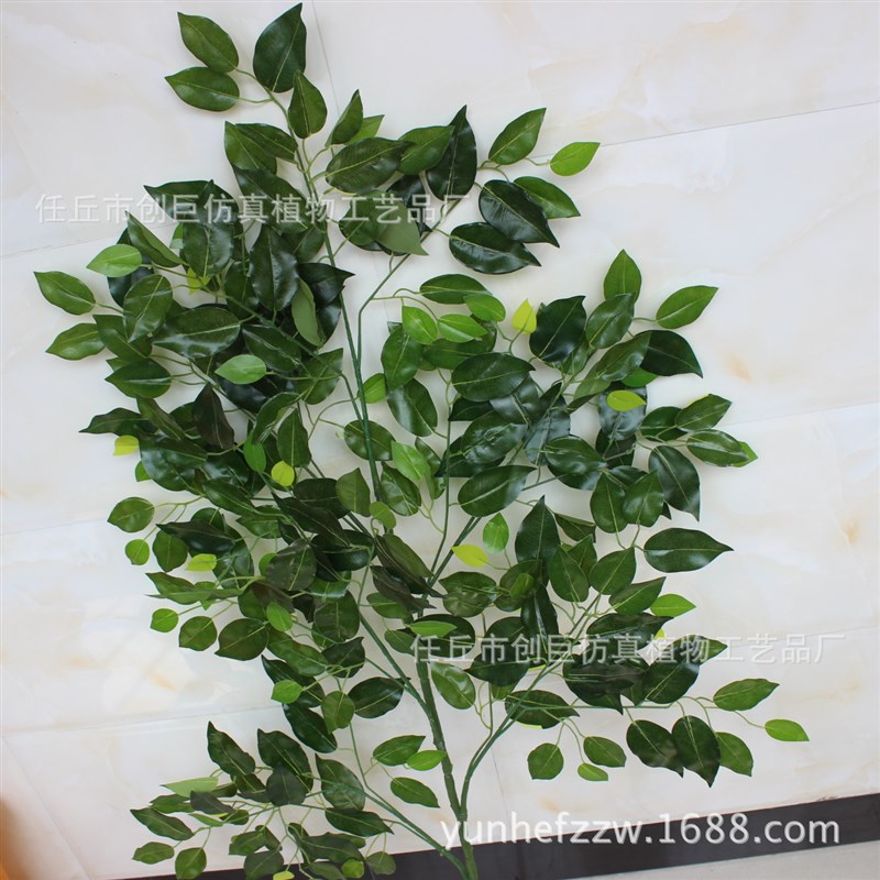 仿真胶榕叶过胶树叶子四叉大支高枝单支瓶花装饰园林工程树枝