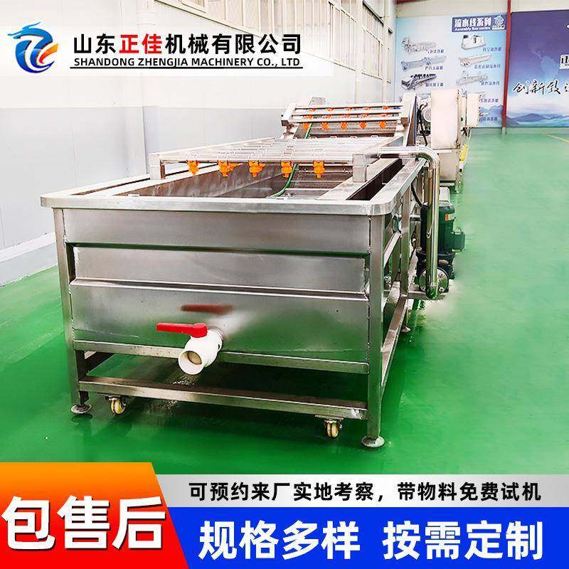 全自动高压喷淋洗菜机芒果气泡果蔬清洗机海带高压喷淋清洗机,清洗/食品/商业设备,其他食品加工设备,淘宝优惠券,粉丝福利购,淘宝优惠卷