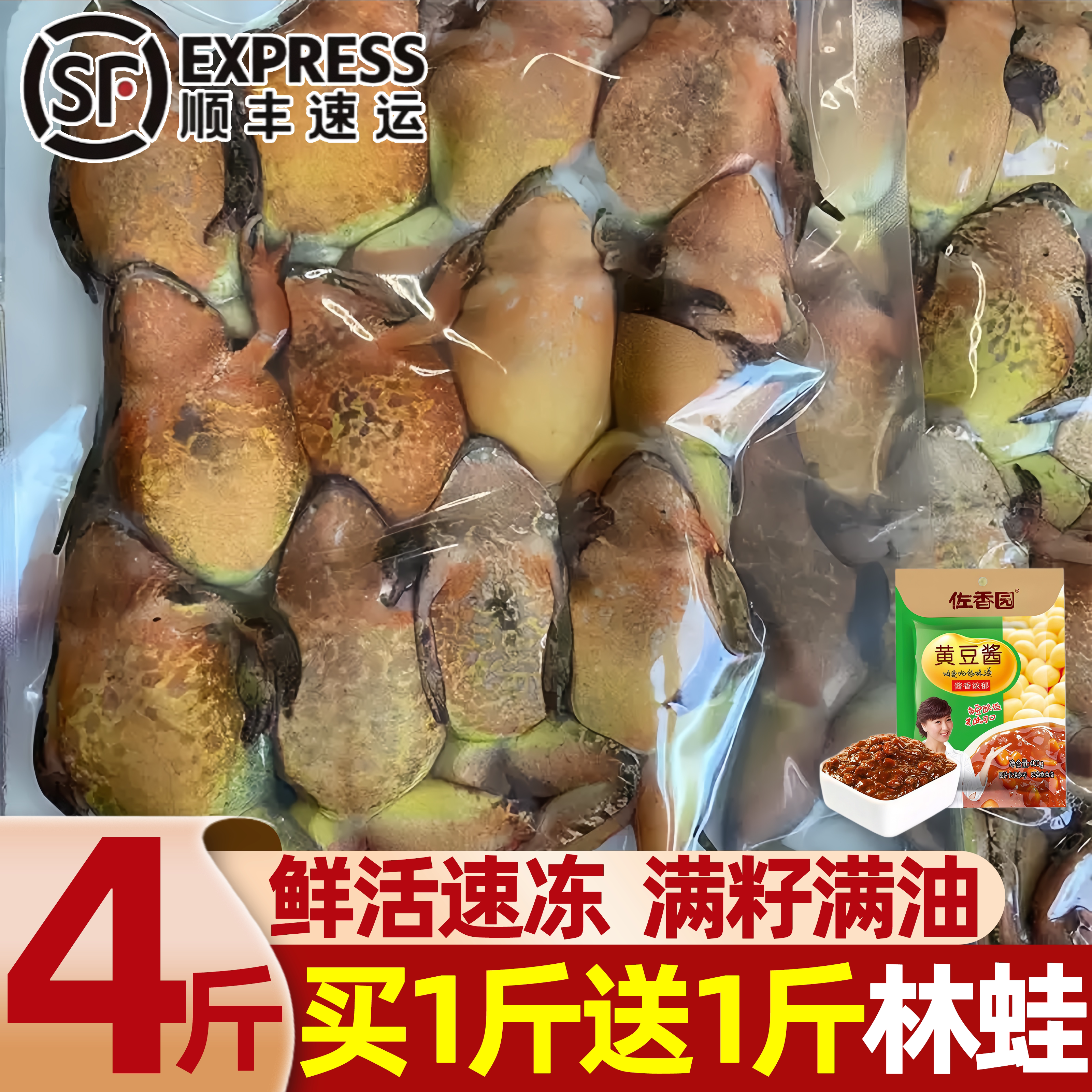 东北速冻母林蛙满籽满油批发