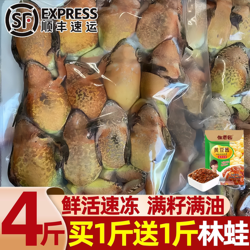 东北速冻母林蛙满籽满油批发