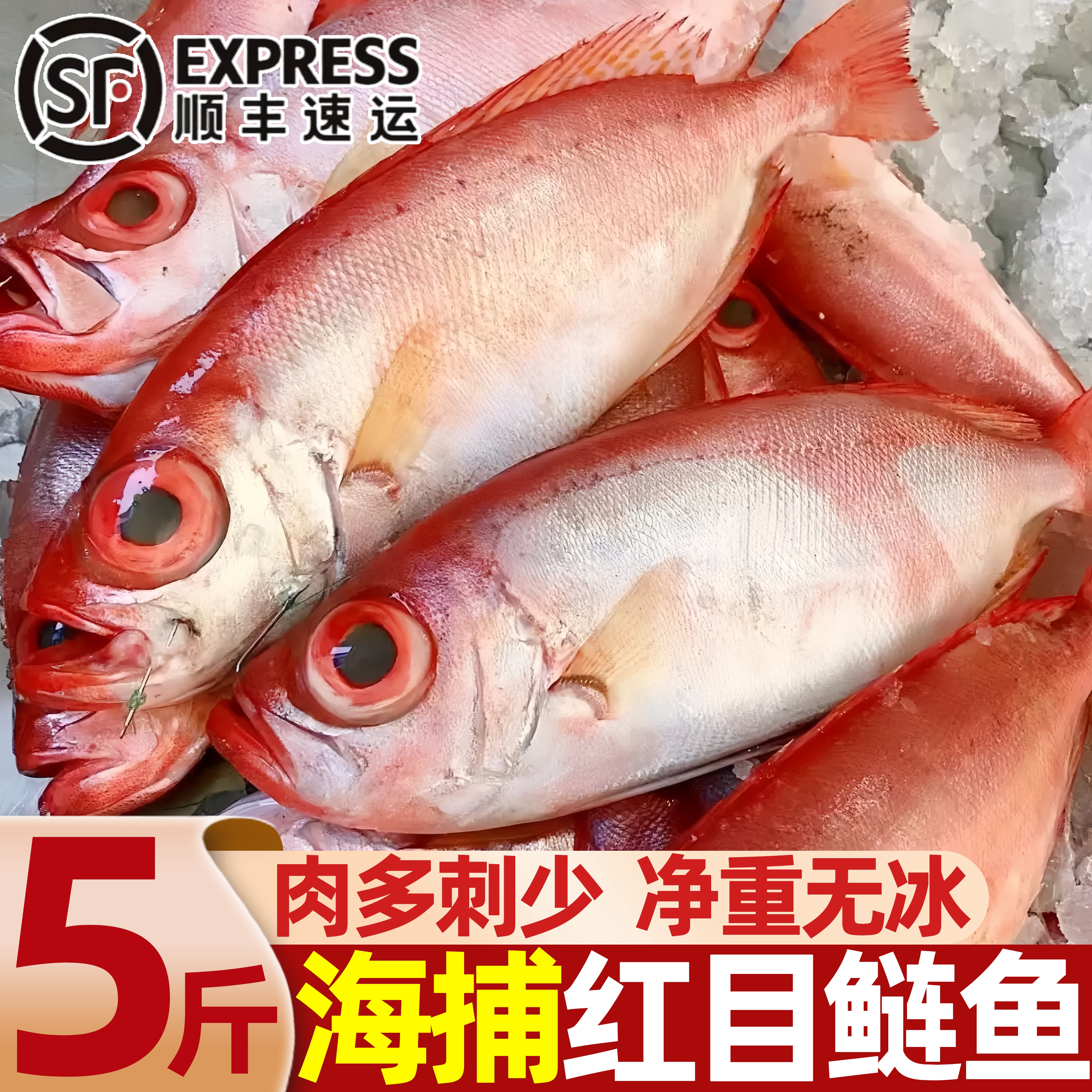 北海海捕鲜冻红大眼鱼