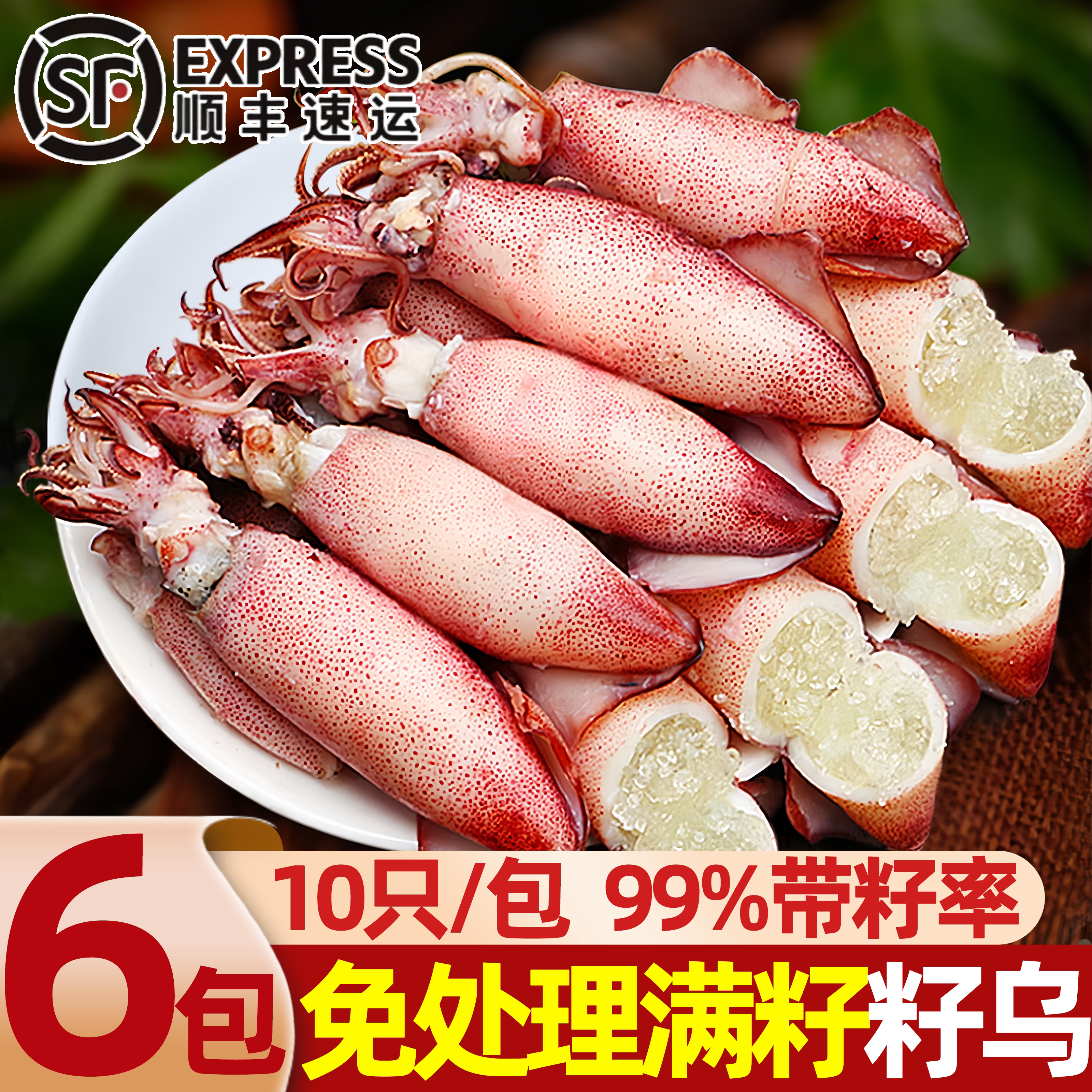 山东日照满籽新鲜鱿鱼批发