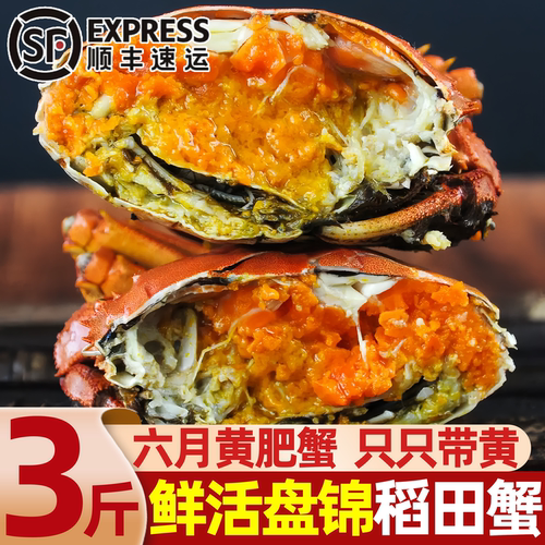 盘锦鲜活六月黄大公蟹顺丰