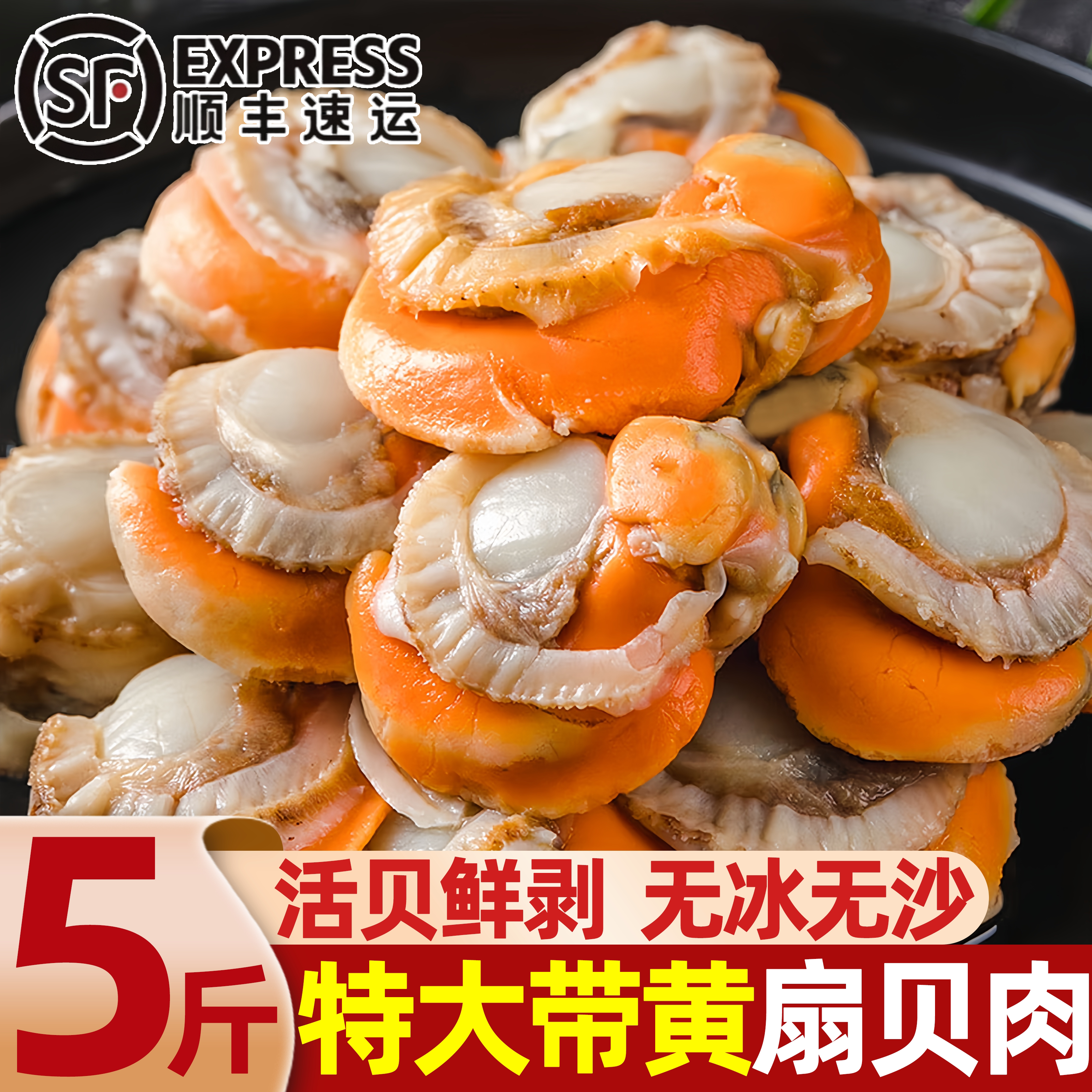 新鲜冷冻特大带黄去内脏扇贝肉