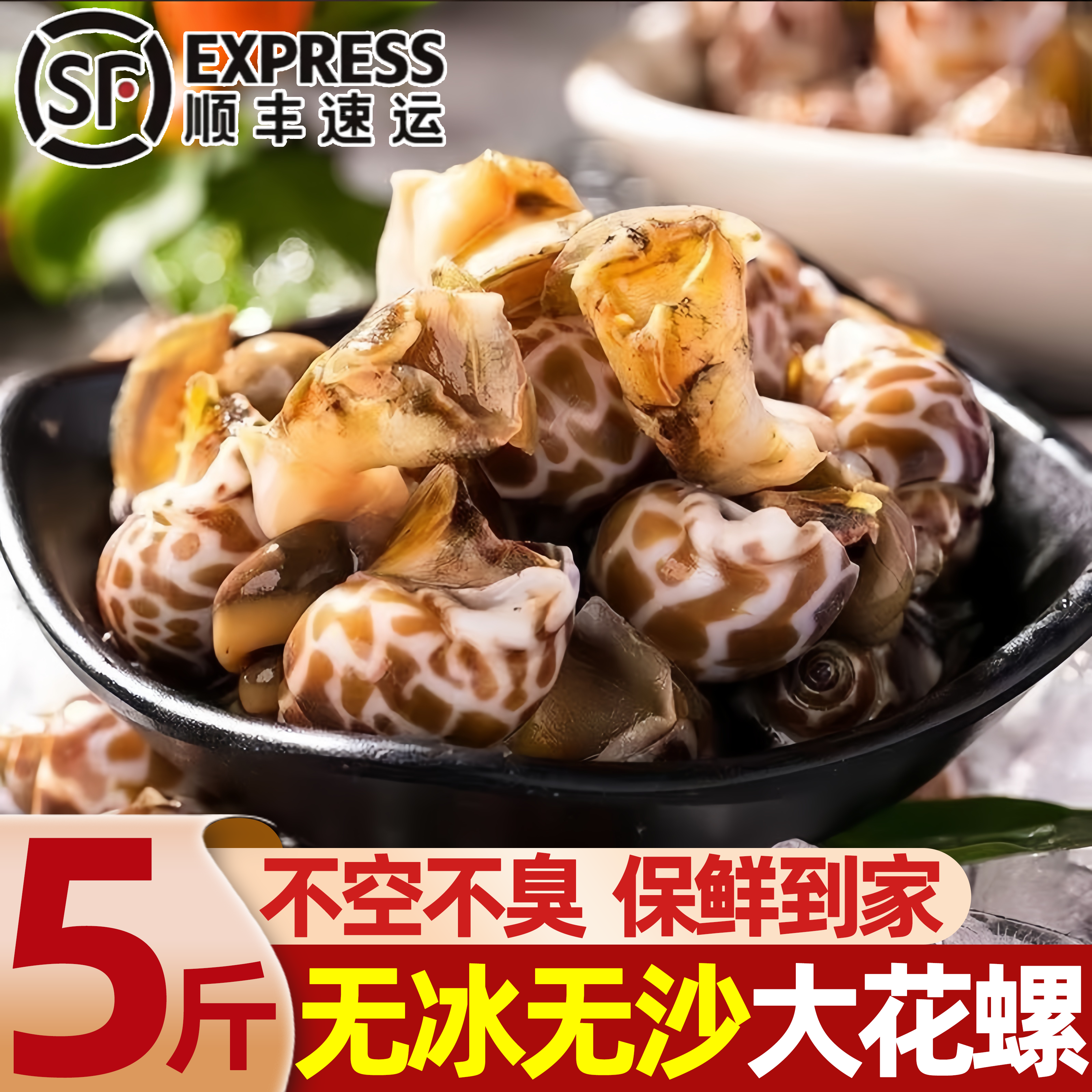 鲜冻无沙大号花螺顺丰包邮
