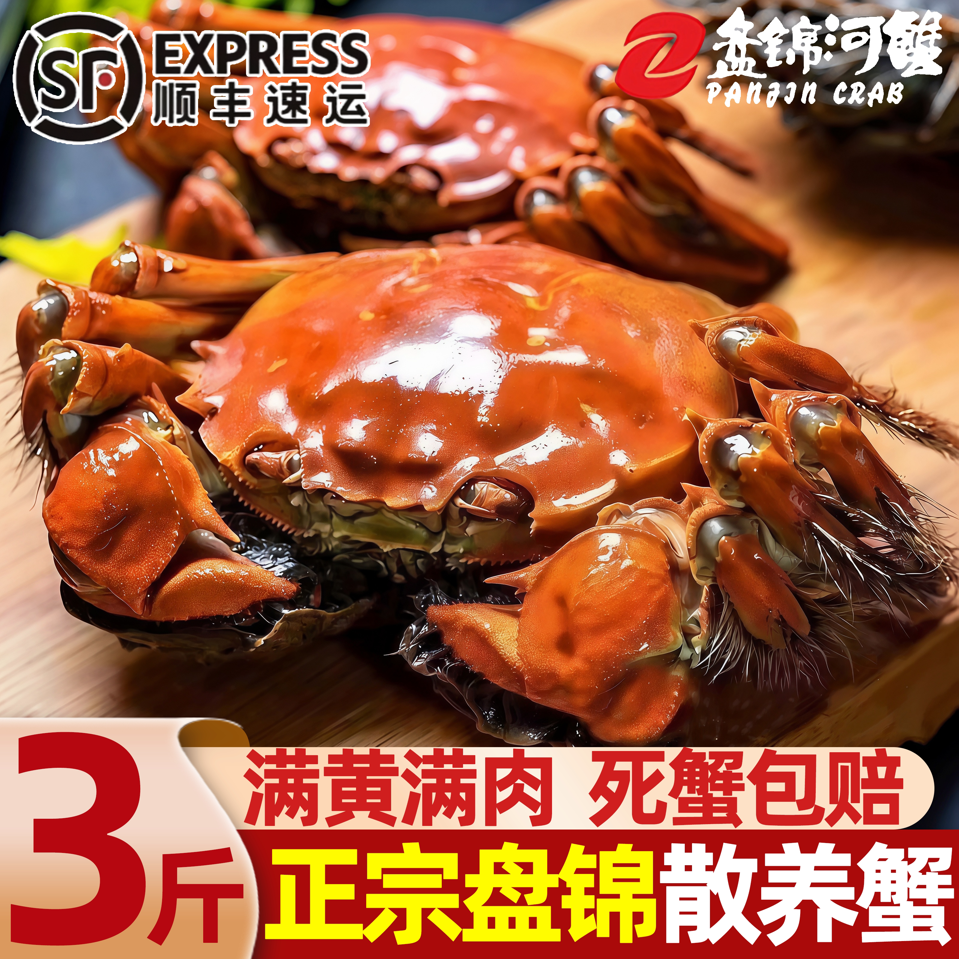 盘锦散养活河蟹现抓现发包邮