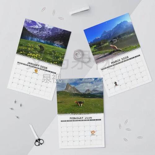 跨境新品Pooping Doggies 2026 Wall Calendar2026年狗狗拉屎挂历
