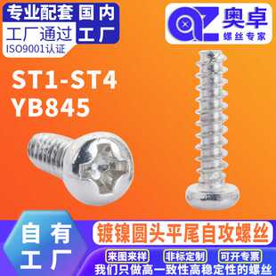 行业优选 碳钢镀镍PB十字圆头盘头平尾自攻螺丝 元头电器小螺丝钉