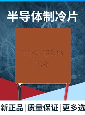 紫铜微型精密通信仪器设备散热 TEwS1-12703 20*20半导体制冷片12