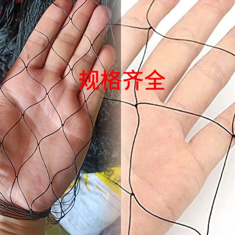 果园5.0孔防鸟网尼龙网草莓樱桃大棚H鱼塘鱼池天网防鸟网防护养殖,农机/农具/农膜,农用防鸟网,淘宝优惠券,粉丝福利购,淘宝优惠卷