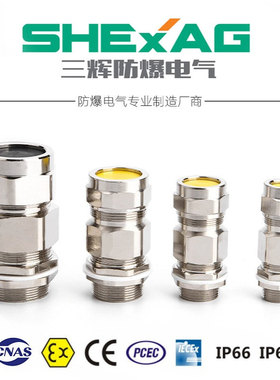 电缆接头单密封隔爆型格兰接头BDM-5 隔爆电缆接头批发