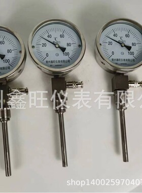 WSSE-401 402 403 404 405 406一体化远传双金属温度计